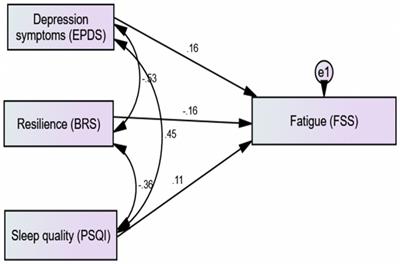 Factors associated with postpartum fatigue: an exploration of the moderating role of resilience